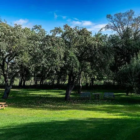 Holiday home Do Gory Kolami
